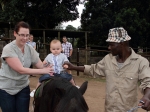 Pony rides for the kids