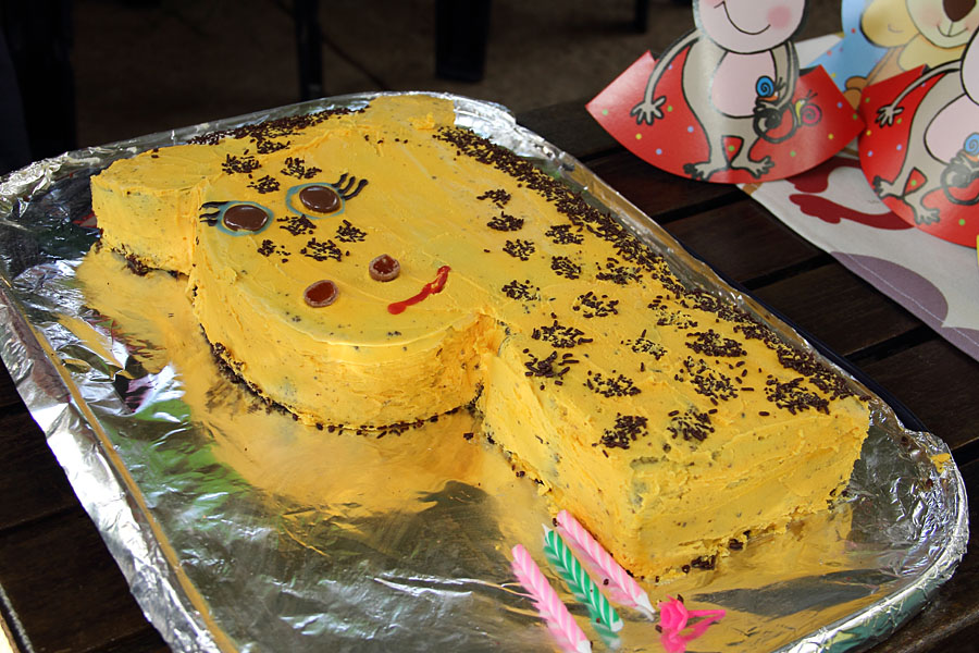 Emma\'s giraffe cake