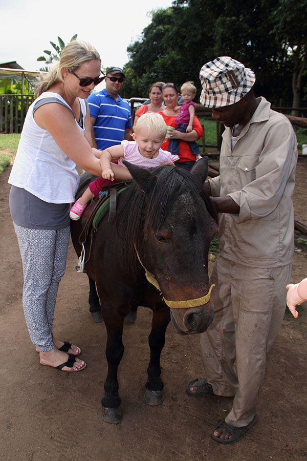 Pony rides for the kids