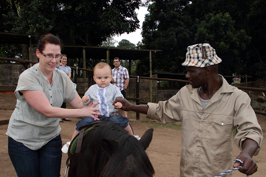 Pony rides for the kids